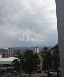 آپارتمان 40 متر مربع - پترا باگریونی, Batumi, گرجستان