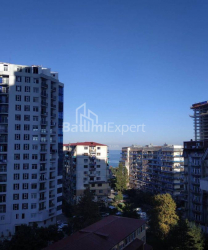 آپارتمان 35 متر مربع - نیکو پیروسمانی, Batumi, گرجستان