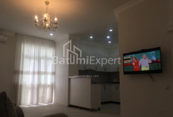 آپارتمان 80 متر مربع - شالوا ایناساریدزه, Batumi, گرجستان