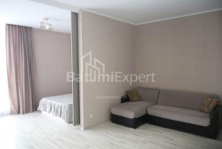 آپارتمان 65 متر مربع - شالوا ایناساریدزه, Batumi, گرجستان