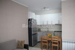 آپارتمان 3-комн 65 m² - شالوا ایناساریدزه, Batumi
