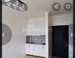 آپارتمان 2-комн 45 m² - ایلیا چاوچاوادزه, Batumi