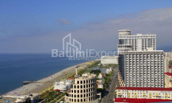 آپارتمان 28 متر مربع - یوریوسکایا, Batumi, گرجستان