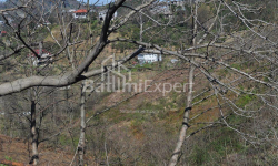 آپارتمان 2-комн 170 m² - یوریوسکایا, Batumi