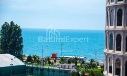 آپارتمان 47 متر مربع - کلانتر خیمشیاشویلی, Batumi, گرجستان