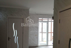 آپارتمان 3-комн 48 m² - پترا ملیکیشویلی, Batumi