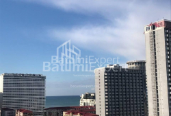آپارتمان 53 متر مربع - نیکو پیروسمانی, Batumi, گرجستان