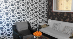 آپارتمان 3-комн 65 m² - نیکو پیروسمانی, Batumi