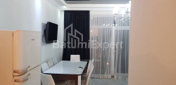 آپارتمان 45 متر مربع - دیوید آگماشنبلی, Batumi, گرجستان