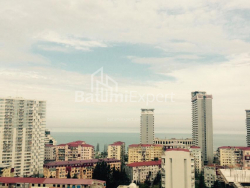 آپارتمان 1-комн 30.8 m² - تبل ابوسریدزه, Batumi