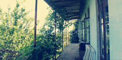 خانه شخصی 3065 متر مربع - آگماشنبلی, Chakvi, گرجستان