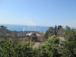 خانه شخصی 4000 متر مربع - دیوید آگماشنبلی, Kobuleti, گرجستان