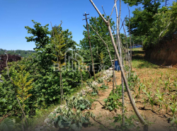 قطعه زمین 536 m² - آگماشنبلی, Chakvi