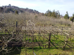 قطعه زمین 4260 متر مربع - دیوید آگماشنبلی, Kobuleti, گرجستان