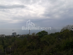 قطعه زمین 1000 m² - آخالگزردبا, Makhinjauri