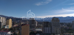 آپارتمان 31.3 متر مربع - شالوا ایناساریدزه, Batumi, گرجستان