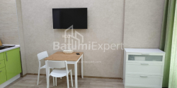 آپارتمان 33 متر مربع - شالوا ایناساریدزه, Batumi, گرجستان