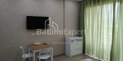 آپارتمان 33 متر مربع - شالوا ایناساریدزه, Batumi, گرجستان