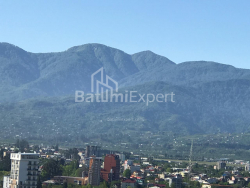 آپارتمان 28.8 متر مربع - یوسف کوبالادزه, Batumi, گرجستان