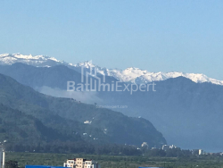 آپارتمان 28.8 متر مربع - یوسف کوبالادزه, Batumi, گرجستان