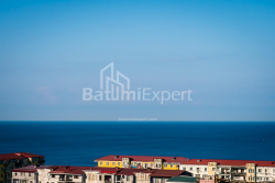 آپارتمان 33.1 متر مربع - شالوا ایناساریدزه, Batumi, گرجستان