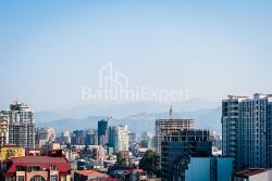 آپارتمان 33.1 متر مربع - شالوا ایناساریدزه, Batumi, گرجستان