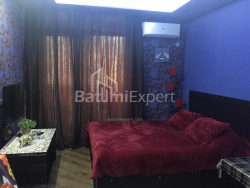 آپارتمان 24.06 متر مربع - یوسف کوبالادزه, Batumi, گرجستان