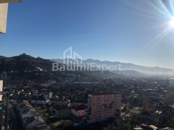 آپارتمان 40 متر مربع - الکساندرا پوشکین, Batumi, گرجستان