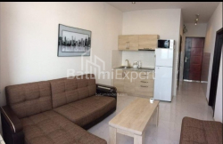 آپارتمان 42 متر مربع - شالوا ایناساریدزه, Batumi, گرجستان