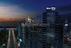 شی در حال ساخت 32 متر مربع - تبل ابوسریدزه, Batumi, گرجستان