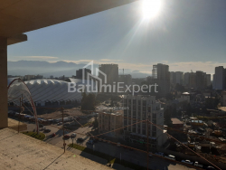 شی در حال ساخت 32 متر مربع - تبل ابوسریدزه, Batumi, گرجستان