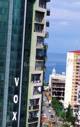 آپارتمان 42 متر مربع - دیوید آگماشنبلی, Batumi, گرجستان