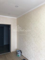 آپارتمان 33 متر مربع - شالوا ایناساریدزه, Batumi, گرجستان
