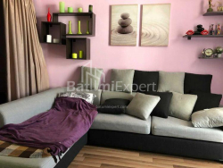 آپارتمان 2-комн 48 m² - نیکو پیروسمانی, Batumi