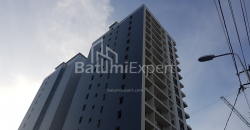 آپارتمان 54 متر مربع - گریگولا الیوا, Batumi, گرجستان