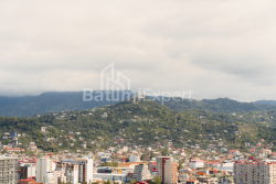 آپارتمان 52.5 متر مربع - اکوتیم تاکایشویلی, Batumi, گرجستان