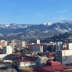 آپارتمان 50 متر مربع - سلیما خیمشیاشویلی, Batumi, گرجستان