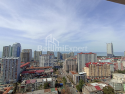 آپارتمان 49.3 متر مربع - تبل ابوسریدزه, Batumi, گرجستان