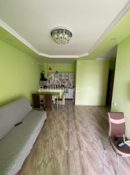 آپارتمان 46 متر مربع - گریگولا الیوا, Batumi, گرجستان