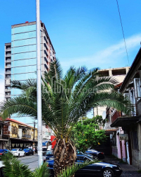 آپارتمان 80 متر مربع - ایلیا چاوچاوادزه, Batumi, گرجستان