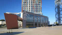 آپارتمان 90 متر مربع - روستاولی, Batumi, گرجستان