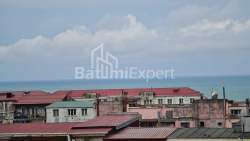 آپارتمان 48 متر مربع - شالوا ایناساریدزه, Batumi, گرجستان