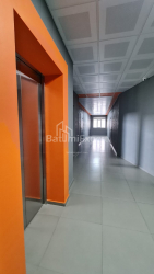 آپارتمان 48 متر مربع - شالوا ایناساریدزه, Batumi, گرجستان