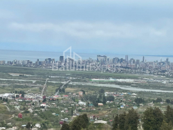 خانه شخصی 160 متر مربع - بزرگراه فرودگاه, Batumi, گرجستان