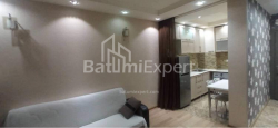 آپارتمان 46 متر مربع - یوسف کوبالادزه, Batumi, گرجستان