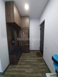 آپارتمان 62 متر مربع - میخائیل جاواخیشویلی, Batumi, گرجستان