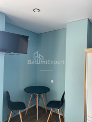 آپارتمان 1-комн 24 m² - لخ و ماریا کاچینسکی, Batumi