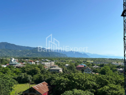 آپارتمان 43 متر مربع - لخ و ماریا کاچینسکی, Batumi, گرجستان