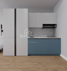 آپارتمان 1-комн 30.3 m² - شالوا ایناساریدزه, Batumi