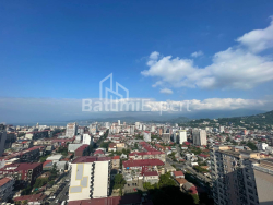 آپارتمان 42.9 متر مربع - خیدرا آباشیدزه, Batumi, گرجستان
